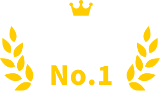 SATORI販売実績No.1